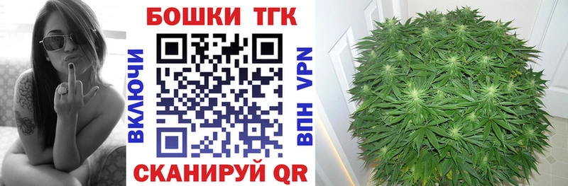 Купить наркоту Козьмодемьянск ГАШИШ  Бошки Шишки  A PVP  МЕФ  COCAIN 