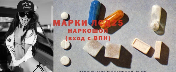 крисы Баксан