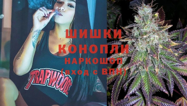 крисы Баксан