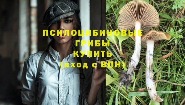 мяу мяу мука Балахна