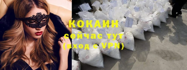 крисы Баксан