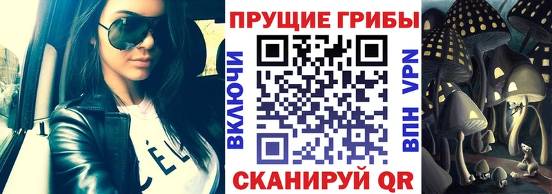darknet состав  Козьмодемьянск  Галлюциногенные грибы Psilocybe 